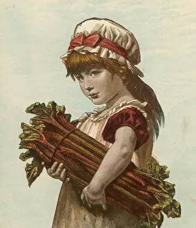 Bunch Collection: Girl with Rhubarb C1880