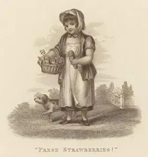 Strawberries Prints: Girl Sells Strawberries