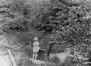 Contemplation Prints: Girl on a Stile 1930S