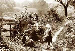 Blackberrying Prints: Girls blackberrying in a rural lane