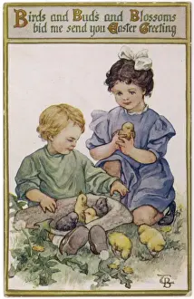Girls and Chicks