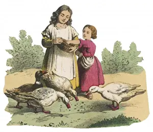Ducks Prints: Girls Feed Ducks C1850