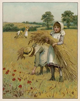 A Gleaning Girl