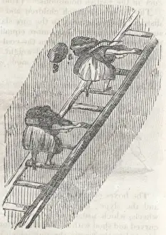 Coals Prints: Girls on Ladders