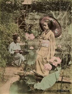Japanese Prints Collection: Girls at lotus pond