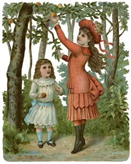 Girls Picking Apples
