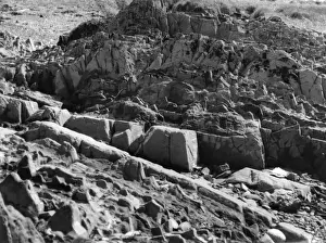 Ayrshire Prints: Girvan Rock Formation