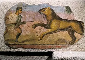 Gladiator Prints: Gladiator fighting against a beast