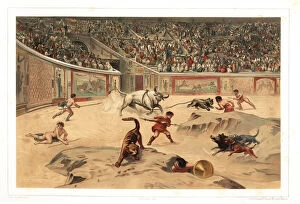Tiger Collection: Gladiators fighting wild animals in Pompeii ampitheatre
