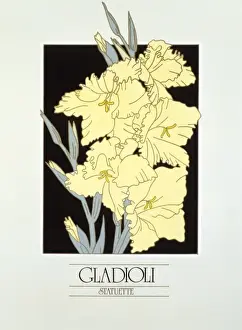 Statuette Prints: Gladioli blooms