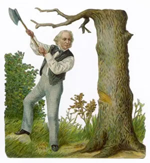 Roots Prints: Gladstone Fells a Tree