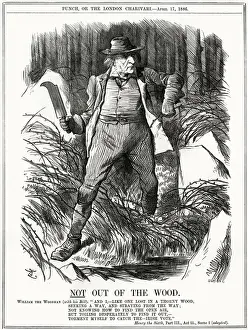 Troubles Prints: We Gladstone / Thorny Wood