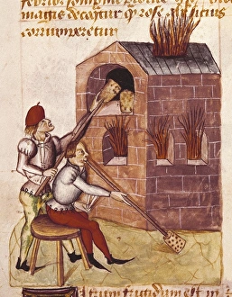 Artisan Collection: Glass blower. Illustration of Tractatus de Herbis
