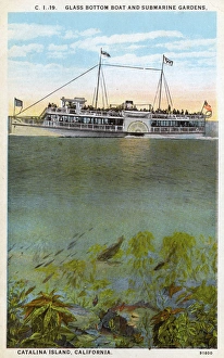 Seaside Boat Trip Photo