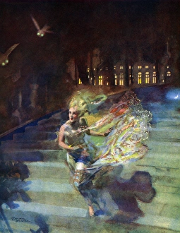 Images Dated 9th February 2016: The Glass Slipper by Gordon Nicoll