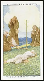 Glastonbury Prints: Glastonbury Thorn