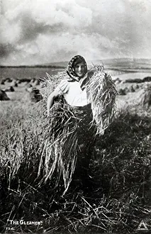 The Gleaner - Harvest Time