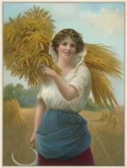 Sheaf Collection: A Gleaning Girl