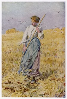 A Gleaning Girl