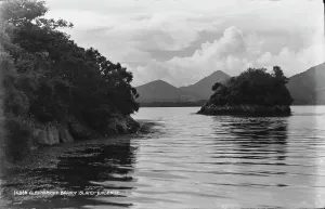 Glengarriff Brandy Island