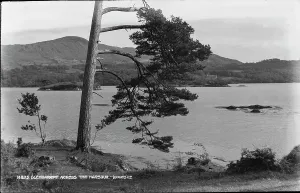 Glengarriff Across the Harbour
