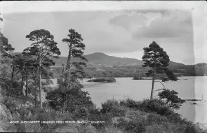Glengarriff Harbour from Heron Island