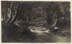 Glenn Prints: Glenn Ranch, San Bernardino County, California