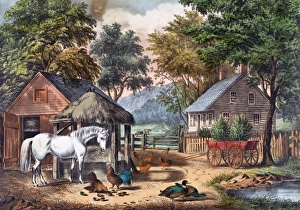 Homestead Gallery: A Glimpse of the Homestead