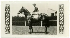 Jockeys Prints: Gloaming, Australian race horse
