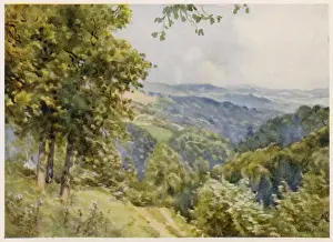 Forest Prints: Glos / Forest of Dean 1927