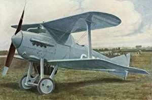 Images Dated 12th October 2011: Gloster Bamel