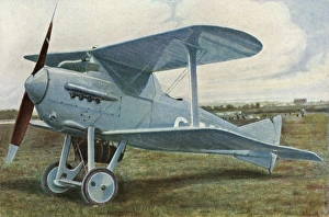 Images Dated 12th October 2011: Gloster Bamel