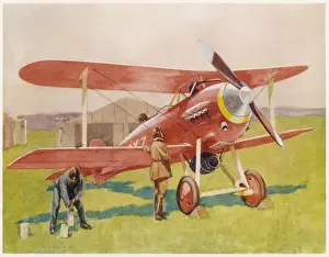 Specially Prints: Gloster Bamel Racer