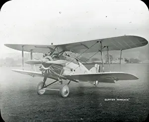 Gloster Gamecock