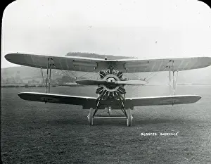 Gloster Gamecock