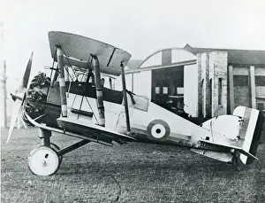 Gloster Prints: Gloster Gamecock I, J7910