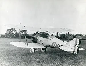 Gloster Prints: Gloster Gamecock I, J8033