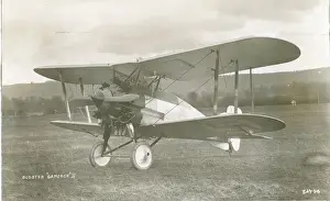 Gloster Gamecock II