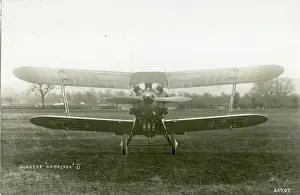 Gloster Gamecock II