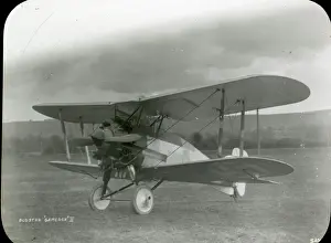 Gloster Gamecock II of the Finnish Air Force