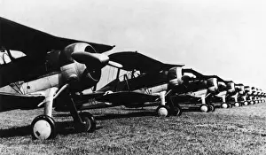 Gloster Gladiator
