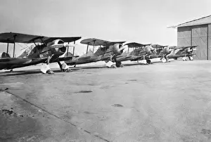 Gloster Gladiator