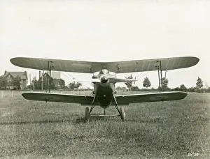 Gloster Prints: Gloster Gorcock fitted with a D-shaped radiator