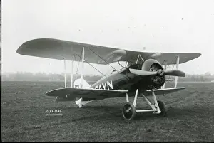 Gloster Prints: Gloster Grouse I, G-EAYN