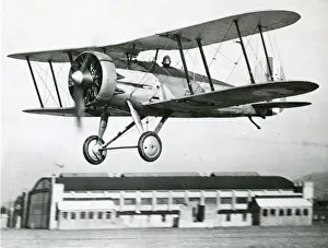 Gloster Prints: Gloster SS19, J9125, being flown by Howard Saint