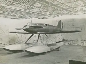 Gloster VI, N249, Golden Arrow, at Sunningend