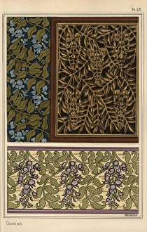 Andtheirapplicationtoornament Collection: Glycine in art nouveau patterns