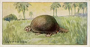Glyptodon doedicurus, extinct animal