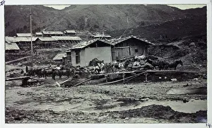 Hayman Prints: Gnatong, Sikkim, India