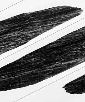 Metamorphosed Prints: Gneiss